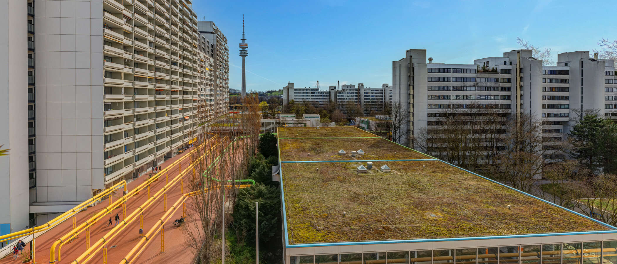 Wohnung München Olympiadorf 01 Aussicht 9781