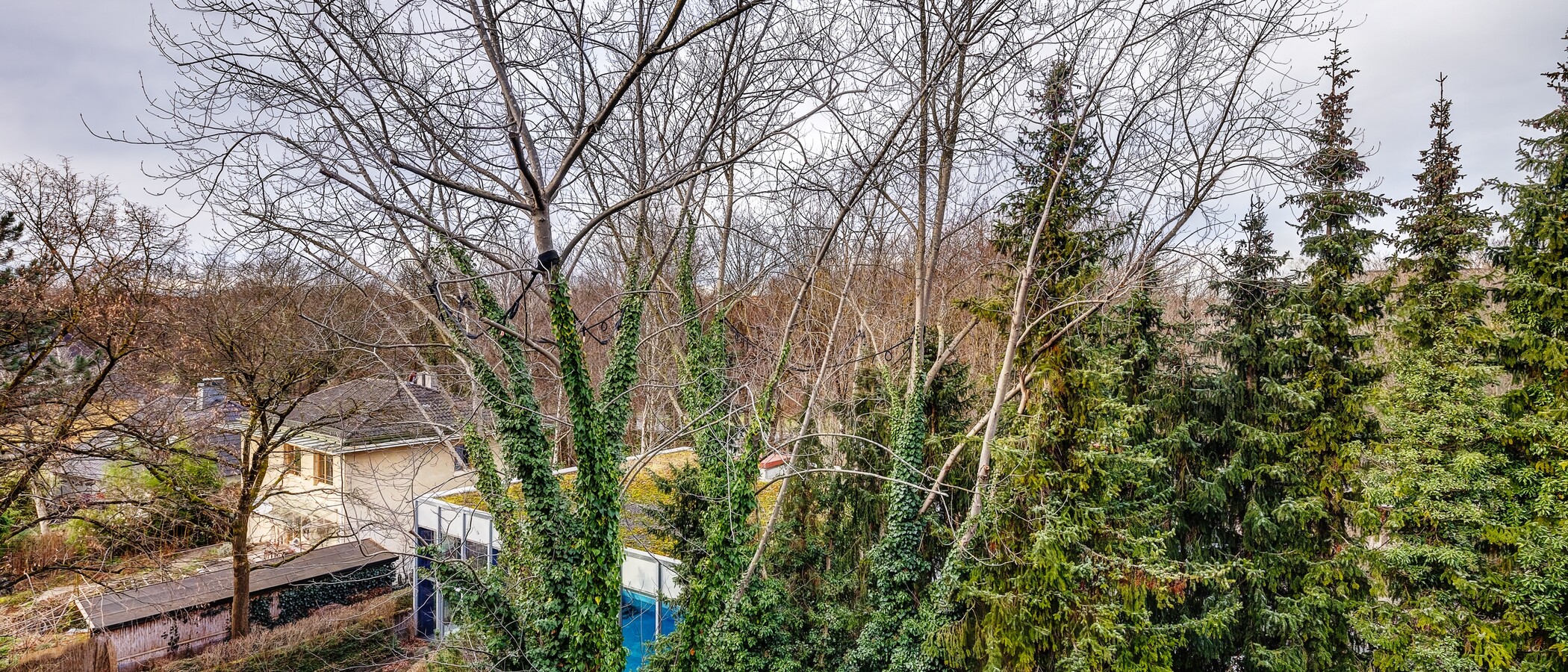 Wohnung München Schwabing-Nord (zw. Leopoldstraße & Englischen Garten) 01 Aussicht 9789