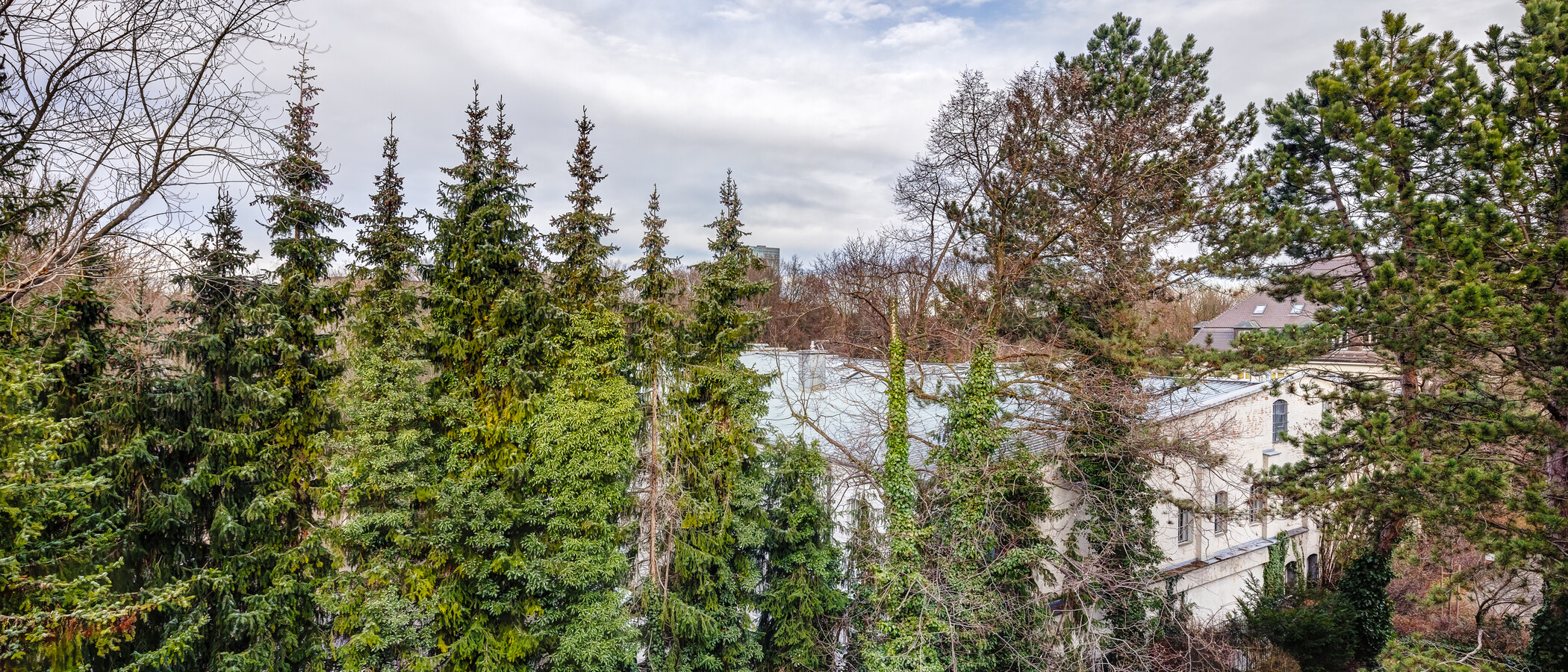 Wohnung München Schwabing-Nord (zw. Leopoldstraße & Englischen Garten) 02 Aussicht 9789