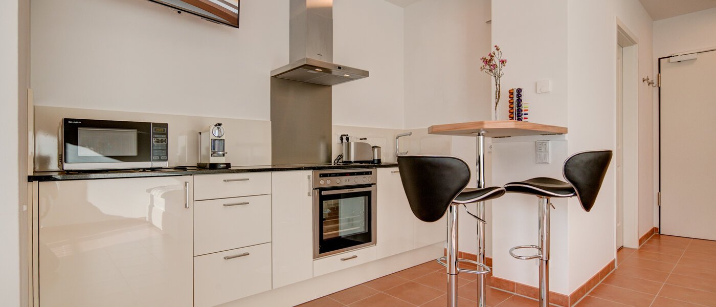 Wohnung München Isarvorstadt 01 Küche 9891