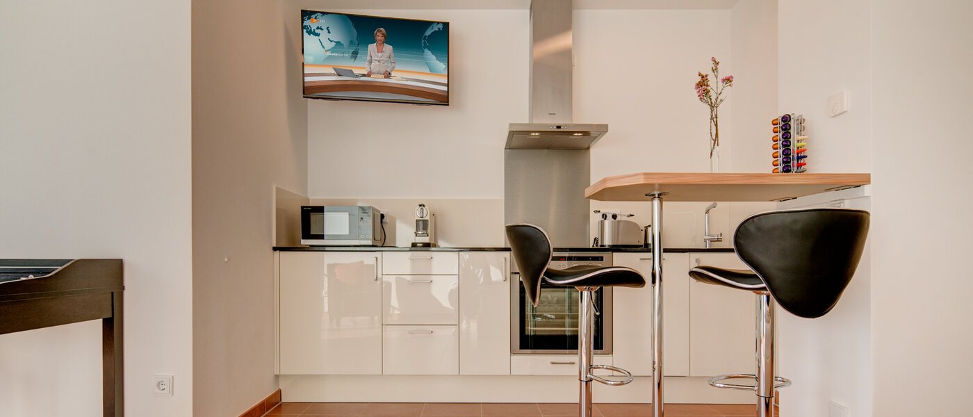 Wohnung München Isarvorstadt 02 Küche 9891