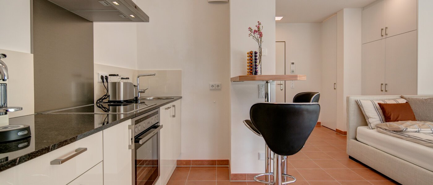 Wohnung München Isarvorstadt 03 Küche 9891