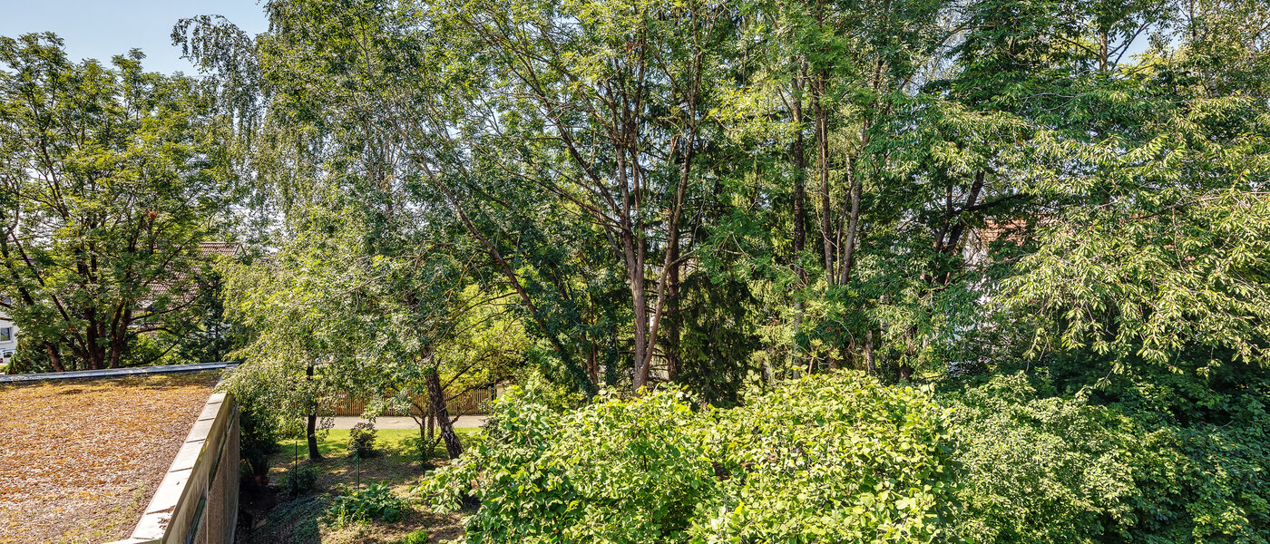 Wohnung München Moosach 02 Aussicht 9941