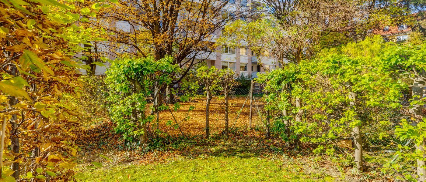 Wohnung München Haidhausen 01 Garten 9999