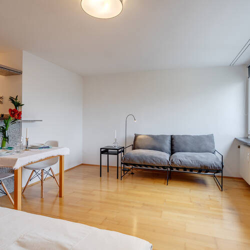 Apartment mit 1 Zimmer | München-Schwabing-West | 11346