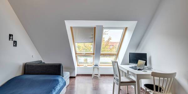 Dachgeschosswohnung mit 1 Zimmer | München-Ludwigsvorstadt | 12778