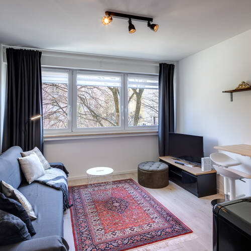Wohnung mit 1 Zimmer | München-Maxvorstadt | 13357