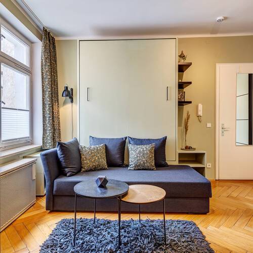 Wohnung mit 1 Zimmer | München-Altstadt | 13374
