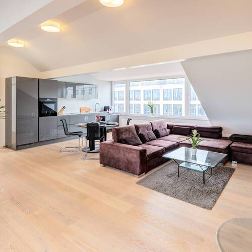 Dachgeschosswohnung mit 2 Zimmern | München-Maxvorstadt | 14568