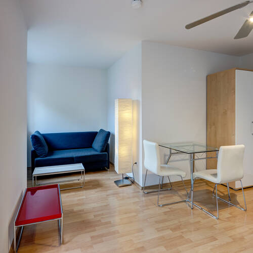 Wohnung mit 1 Zimmer | München-Giesing | 3185