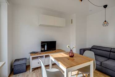 Helle schön möblierte Wohnung mit großer Dachterrasse 