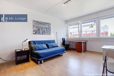 Maxvorstadt (rund um den Josephsplatz) - 6 Min zur U-Bahn Theresienstrasse: Helles möbliertes Apartment