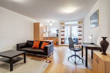Möblierte Wohnung in Ludwigsvorstadt