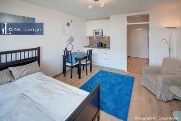 Helle und moderne möblierte 1-Zi-Wohnung mit Balkon