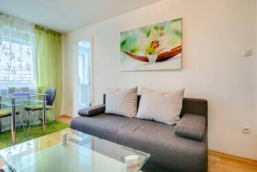 Helles Apartment in Giesing mit Balkon