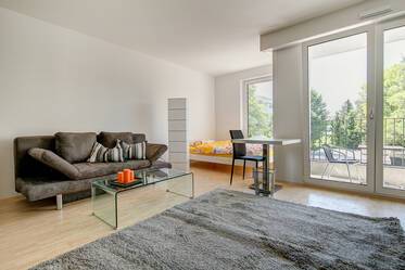 Große und helle 1-Zi-Wohnung in Obergiesing