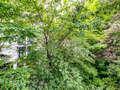 Wohnung München Maxvorstadt 02 Aussicht 10870