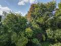 Dachterrassenwohnung München Menterschwaige 01 Aussicht 11267