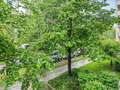 Wohnung München Oberföhring 04 Aussicht 11585