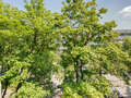 Wohnung München Milbertshofen 01 Aussicht 11650