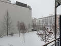 Wohnung München Schwabing (links der Leopoldstraße) 01 Aussicht 1191