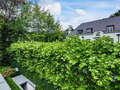 Wohnung München Herzogpark 02 Aussicht 12619