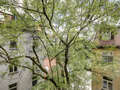 Wohnung München Schwabing (links der Leopoldstraße) 01 Aussicht 1262