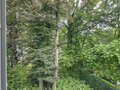 Wohnung München Herzogpark 03 Aussicht 12620