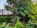 Wohnung München Herzogpark 04 Aussicht 12621
