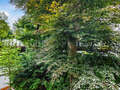 Wohnung München Herzogpark 04 Aussicht 12628