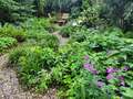 Wohnung München Altbogenhausen 02 Gemeinschaftsgarten 13119