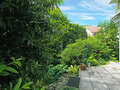 Gartenwohnung München Herzogpark 02 Terrasse 1401