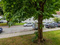 Wohnung München Obergiesing 02 Aussicht 14087