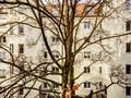 Wohnung München Lehel 04 Aussicht 14254