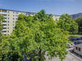 Wohnung München Parkstadt Bogenhausen 02 Aussicht 14554