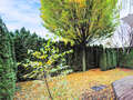 Gartenwohnung München Denning 01 Garten 14634