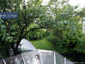 Doppelhaushälfte München Trudering 06 Wintergarten 1464