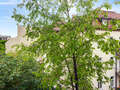 Wohnung München Schwabing-West 01 Aussicht 14894