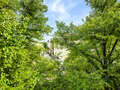 Wohnung München Neuhausen 01 Aussicht 14943