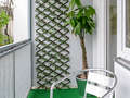 Apartment München Schwabing (links der Leopoldstraße) 01 Balkon 2333
