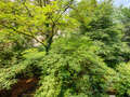 Apartment München Schwabing-West 02 Aussicht 2711