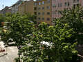 Wohnung München Maxvorstadt - Museumsviertel 03 Aussicht 4289