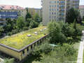 Wohnung München Schwabing-West 04 Aussicht 4617