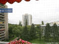 Wohnung München Schwabing-Georgenschwaige 02 Aussicht 5164