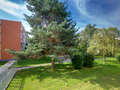 Apartment München Fasanerie 01 Aussicht 5372