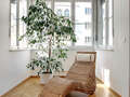 Wohnung München Altbogenhausen 09 Wohnen 5506
