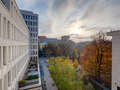 Wohnung München Maxvorstadt 01 Aussicht 6679