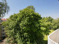 Apartment München Bogenhausen 01 Aussicht 7047