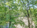 Apartment München Isarvorstadt 02 Aussicht 8737