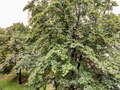 Apartment München Bogenhausen 01 Aussicht 8773